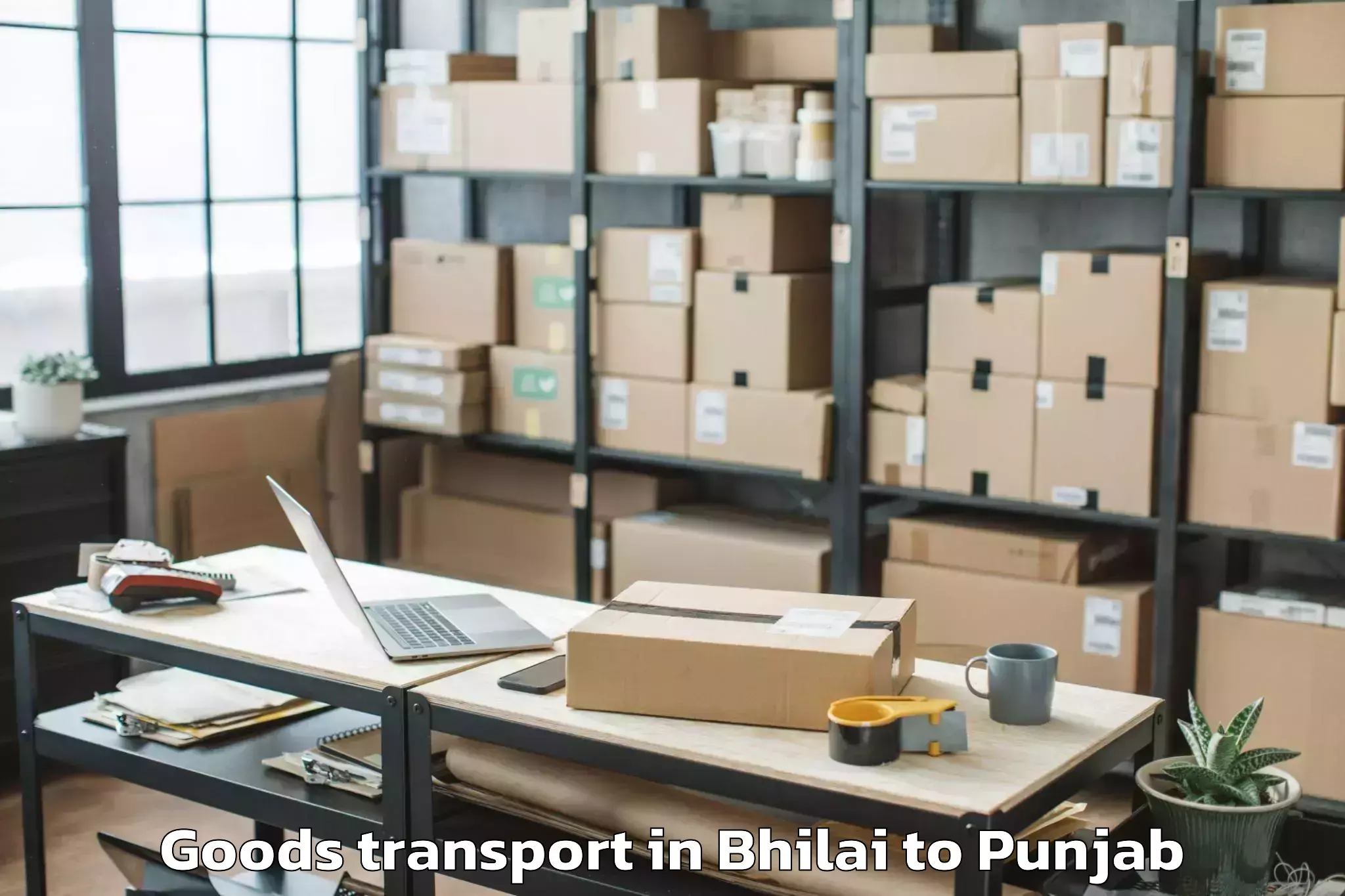 Trusted Bhilai to Firozpur Goods Transport